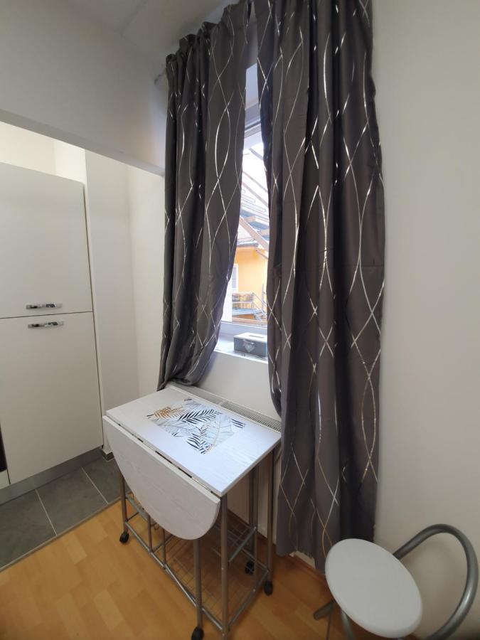 Maribor City Center Minidorm Apartment ภายนอก รูปภาพ