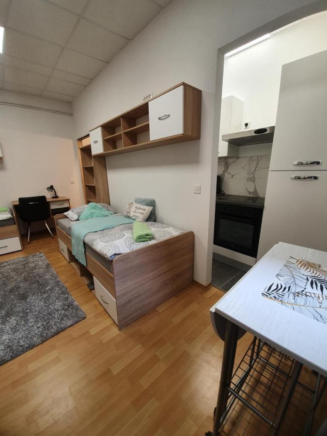 Maribor City Center Minidorm Apartment ภายนอก รูปภาพ